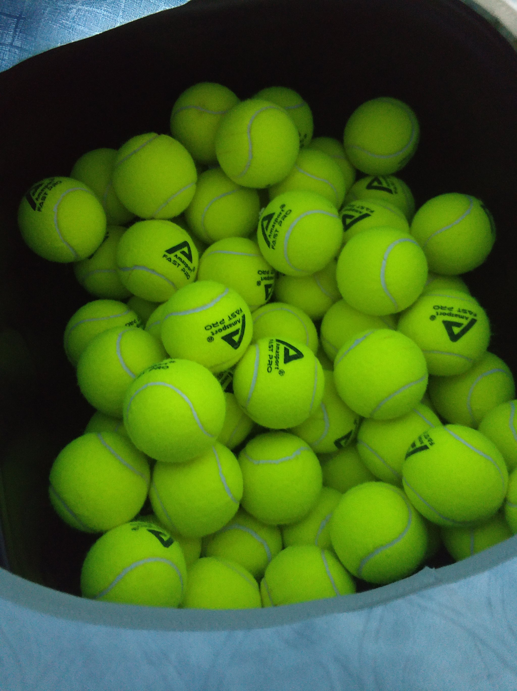 的两次执教 的两次执教